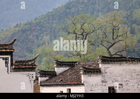 Jiangxi wuyuan shicheng ist funkelnd Stockfoto