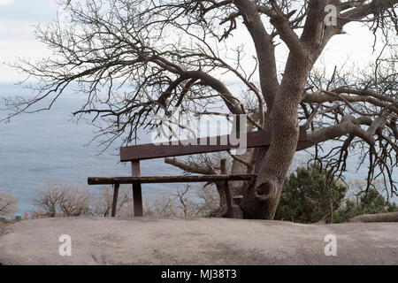 Die grünen Baum hängt über eine Sitzbank mit Blick auf das Meer, Gefühl von Einsamkeit und Romantik Stockfoto