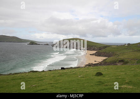 Atlantic Surf auf irischen Strand - Coumeenoole Strand, Dunmore Head auf der Dingle Halbinsel, Great Blasket Island links im Hintergrund Stockfoto