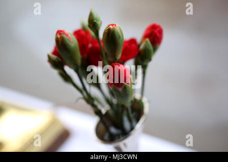 Blumen in London, UK. Stockfoto
