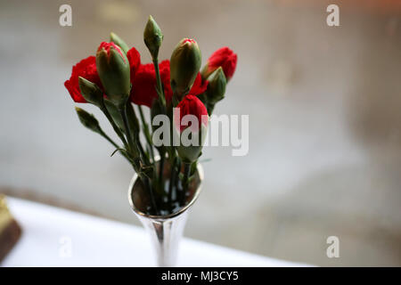 Blumen in London, UK. Stockfoto