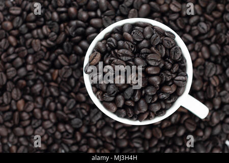 Geröstete Kaffeebohnen in weißem Glas. Auf den Kaffee Hintergrund und Textur gelegt. Wählen Sie Fokus flache Tiefenschärfe. Unscharfer Hintergrund Stockfoto