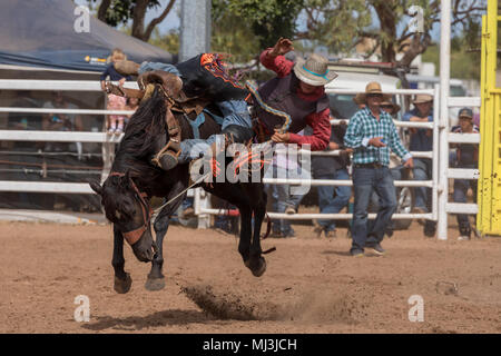 Normanton Queensland, Australien. Anfänger buck-jumping am Rodeo in Normanton am Golf von Carpenteria im Outback Far North Queensland. Stockfoto