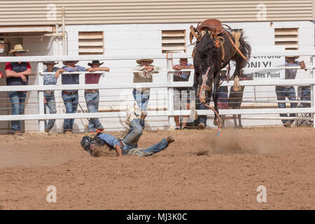 Normanton Queensland, Australien. Anfänger buck-jumping am Rodeo in Normanton am Golf von Carpenteria im Outback Far North Queensland. Stockfoto