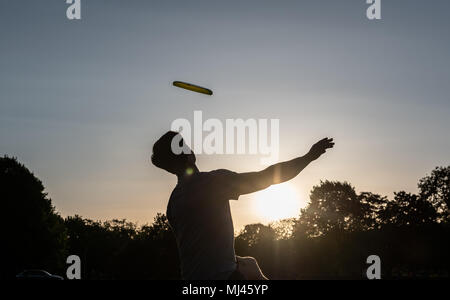 03. Mai 2018, Deutschland, Berlin: Benno Der Berlin-Jammers Fänge ein Frisbee vor dem Reichstag während des Sonnenuntergangs. Foto: Paul Zinken/dpa Stockfoto