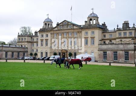 Badminton, Großbritannien. 4. Mai 2018. Pferde in einem frühen bewegen Weiden vor Tag 2 Die 2018 Mitsubishi Motors Badminton Horse Trials, Badminton, Vereinigtes Königreich. Jonathan Clarke/Alamy leben Nachrichten Stockfoto