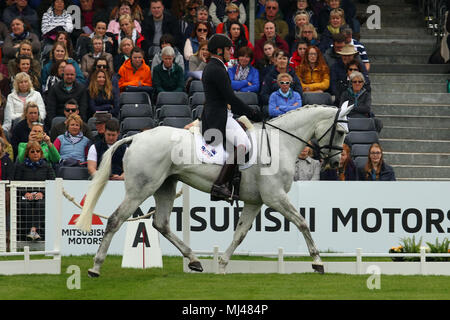 Badminton, Großbritannien. 4. Mai 2018. Paul Tapner (Australien) Reiten Bonza König von Rouges geht an zweiter Stelle auf Dressur Tag zwei am Badminton Horse Trials 2018 Credit: Stephen Davis/Alamy leben Nachrichten Stockfoto