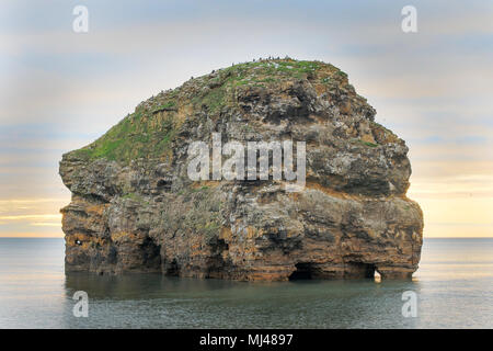 Marsden Bay, Großbritannien. 4. Mai 2018. Erhebt sich die Sonne hinter Wolken, Marsden Rock suchen bei Flut. Credit: Dan Cooke Credit: Dan Cooke/Alamy leben Nachrichten Stockfoto