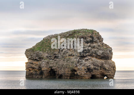 Marsden Bay, Großbritannien. 4. Mai 2018. Erhebt sich die Sonne hinter Wolken, Marsden Rock suchen bei Flut. Credit: Dan Cooke Credit: Dan Cooke/Alamy leben Nachrichten Stockfoto