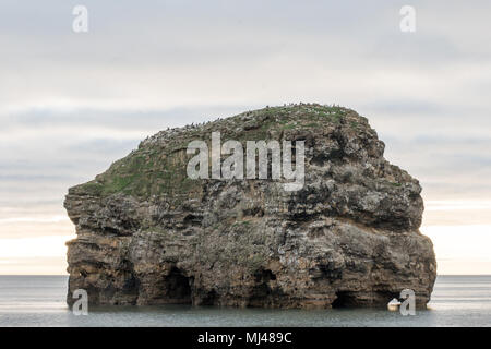 Marsden Bay, Großbritannien. 4. Mai 2018. Erhebt sich die Sonne hinter Wolken, Marsden Rock suchen bei Flut. Credit: Dan Cooke Credit: Dan Cooke/Alamy leben Nachrichten Stockfoto