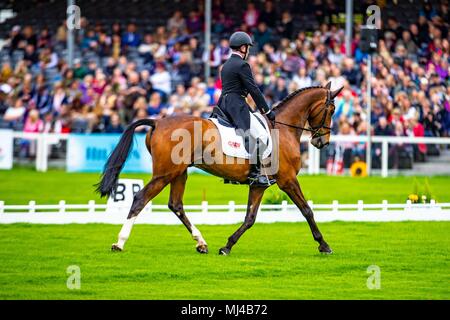 Badminton, Großbritannien. 4. Mai 2018. Morgen Dressur. James Somerville. Talent. GBR. Mitsubishi Badminton Horse Trials. Badminton. UK. 04.05.2018. Credit: Sport in Bildern/Alamy leben Nachrichten Stockfoto