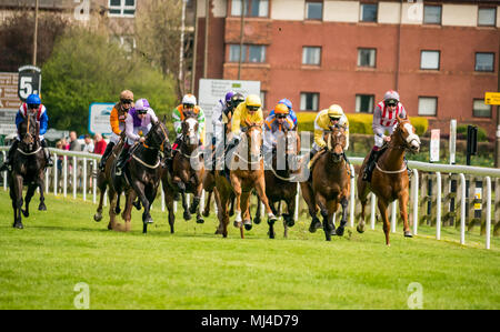 Musselburgh, Schottland, 4. Mai 2018. Neben, Musselburgh, East Lothian, Schottland, Vereinigtes Königreich. Rennpferde thunder vorbei am Nachmittag flachbild Racing in der 2,40 Boogie am Morgen Handikap treffen Stockfoto