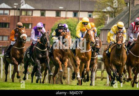 Musselburgh, Schottland, 4. Mai 2018. Neben, Musselburgh, East Lothian, Schottland, Vereinigtes Königreich. Rennpferde thunder vorbei am Nachmittag flachbild Racing in der 2,40 Boogie am Morgen Handikap treffen Stockfoto