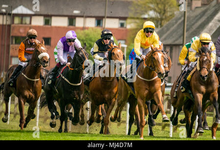 Musselburgh, Schottland, 4. Mai 2018. Neben, Musselburgh, East Lothian, Schottland, Vereinigtes Königreich. Rennpferde thunder vorbei am Nachmittag flachbild Racing in der 2,40 Boogie am Morgen Handikap treffen Stockfoto