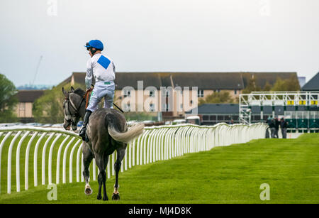 Musselburgh, Schottland, 4. Mai 2018. Neben, Musselburgh, East Lothian, Schottland, Vereinigtes Königreich. Ein Race Horse galoppiert zum Start am Nachmittag flachbild Pferderennen. Pferd" Chickenfortea" geritten von Jockey Jason Hart von Irland im 3.10 Jackson Boyd Lawyers-More als Handicap Stockfoto