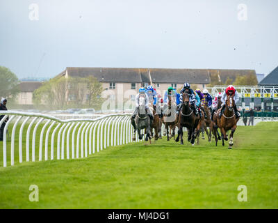Musselburgh, Schottland, 4. Mai 2018. Neben, Musselburgh, East Lothian, Schottland, Vereinigtes Königreich. Rennpferde thunder vorbei am Nachmittag Flachbild racing erfüllen. Die 3.10 Jackson Boyd Lawyers-More als Handicap Stockfoto