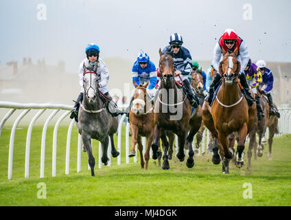 Musselburgh, Schottland, 4. Mai 2018. Neben, Musselburgh, East Lothian, Schottland, Vereinigtes Königreich. Rennpferde thunder vorbei am Nachmittag Flachbild racing erfüllen. Die 3.10 Jackson Boyd Lawyers-More als Handicap Stockfoto