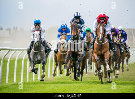 Musselburgh, Schottland, 4. Mai 2018. Neben, Musselburgh, East Lothian, Schottland, Vereinigtes Königreich. Rennpferde thunder vorbei am Nachmittag Flachbild racing erfüllen. Die 3.10 Jackson Boyd Lawyers-More als Handicap Stockfoto