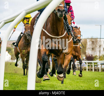 Musselburgh, Schottland, 4. Mai 2018. Neben, Musselburgh, East Lothian, Schottland, Vereinigtes Königreich. Rennpferde thunder vorbei am Nachmittag Flachbild racing treffen, die 3.40 Weatherbys Bank Devisen Handicap Stockfoto