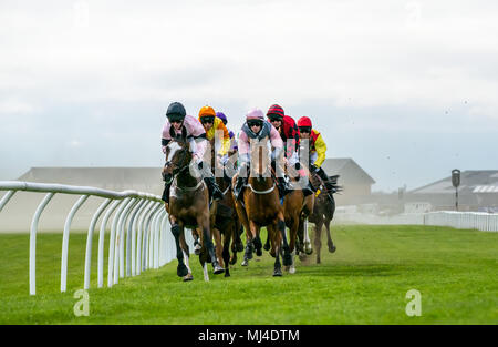 Musselburgh, Schottland, 4. Mai 2018. Neben, Musselburgh, East Lothian, Schottland, Vereinigtes Königreich. Rennpferde thunder vorbei am Nachmittag Flachbild racing treffen, der Kern (Öl und Gas) Handicap Stockfoto