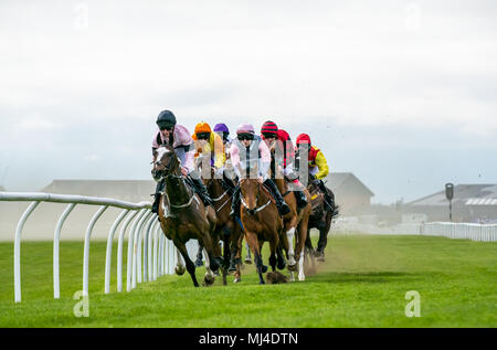 Musselburgh, Schottland, 4. Mai 2018. Neben, Musselburgh, East Lothian, Schottland, Vereinigtes Königreich. Rennpferde thunder vorbei am Nachmittag Flachbild racing treffen, der Kern (Öl und Gas) Handicap Stockfoto