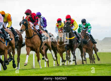 Musselburgh, Schottland, 4. Mai 2018. Neben, Musselburgh, East Lothian, Schottland, Vereinigtes Königreich. Rennpferde thunder vorbei am Nachmittag Flachbild racing treffen, der Kern (Öl und Gas) Handicap Stockfoto
