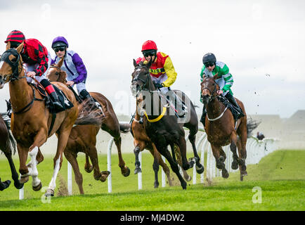 Musselburgh, Schottland, 4. Mai 2018. Neben, Musselburgh, East Lothian, Schottland, Vereinigtes Königreich. Rennpferde thunder vorbei am Nachmittag Flachbild racing treffen, der Kern (Öl und Gas) Handicap Stockfoto