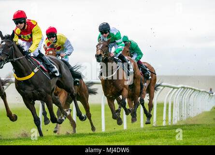 Musselburgh, Schottland, 4. Mai 2018. Neben, Musselburgh, East Lothian, Schottland, Vereinigtes Königreich. Rennpferde thunder vorbei am Nachmittag Flachbild racing treffen, der Kern (Öl und Gas) Handicap Stockfoto