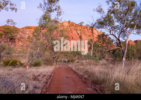 Lawn Hill, Queensland, Australien. Reiche Farben der Felsen vor der Morgendämmerung auf der Rennstrecke zu rasen Hügel Schlucht in Boodjamulla National Park im Outback weit N Stockfoto