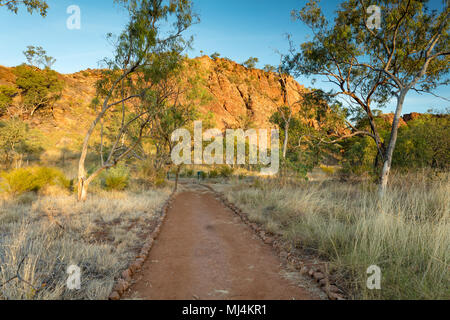 Lawn Hill, Queensland, Australien. Reiche Farben der Felsen bei Sonnenaufgang auf der Rennstrecke zu rasen Hügel Schlucht in Boodjamulla National Park im Outback weit Keine Stockfoto