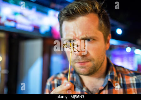 Kaukasischen jungen männlichen essen Kricket in der Nacht Markt in Thailand. Stockfoto