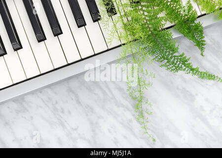 Geräusche der Natur. E-Piano keys und grünen Farnblätter, auf Marmor Hintergrund. Stockfoto