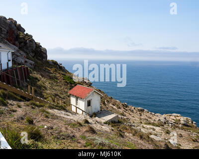 Rotwild und alte Plumpsklo shack in der Nähe des Visitor Center auf steinigen Felsen über Ozean bei Point Reyes Lighthouse, Marin County, Kalifornien, USA Stockfoto