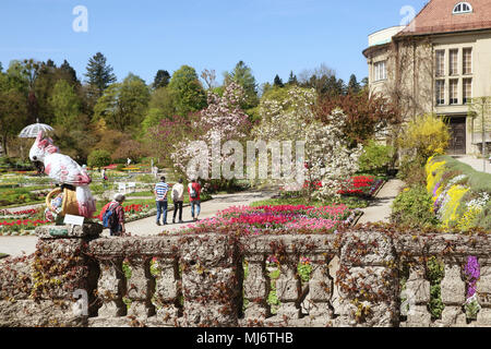 München, Deutschland - 20 April, 2018 - Frühling im Botanischen Garten in München. Der botanische Garten wurde 1914 erstellt und pflegt über 14.000 speci Stockfoto