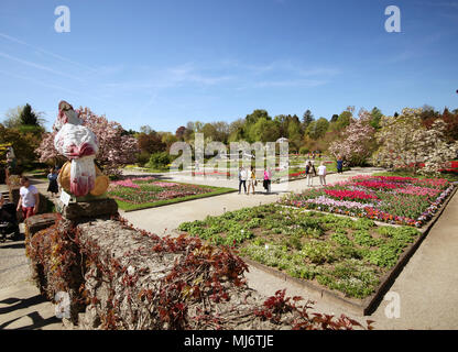 München, Deutschland - 20 April, 2018 - Frühling im Botanischen Garten in München. Der botanische Garten wurde 1914 erstellt und pflegt über 14.000 speci Stockfoto