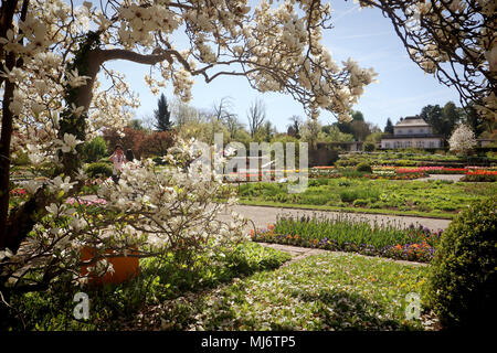 München, Deutschland - 20 April, 2018 - Frühling im Botanischen Garten in München. Der botanische Garten wurde 1914 erstellt und pflegt über 14.000 speci Stockfoto