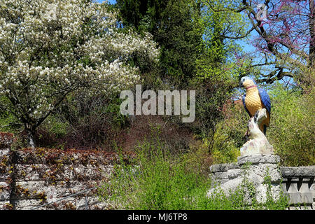 München, Deutschland - 20 April, 2018 - Frühling Ecke im Botanischen Garten in München. Der botanische Garten wurde 1914 erstellt und pflegt über 14.00 Stockfoto