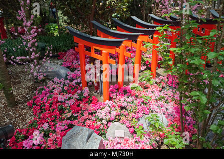 Singapur/Singapur - 9. April 2018: Die japanischen Figuren sind in die Blume Dome in den Gärten, die in der Bucht von Singapur als Teil einer Sakura (c Stockfoto