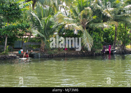 Frauen sind Wäsche waschen auf den Gewässern von Alappuzha im Bundesstaat Kerala, Indien. Stockfoto