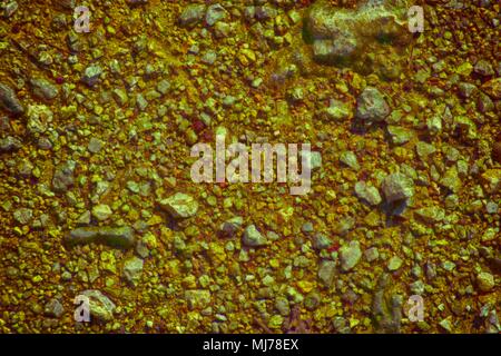 Ultra orange Boden wie auf dem Mars, land Textur, Sand, Stein. Stockfoto
