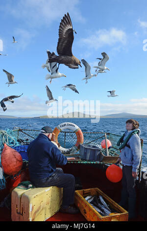 Junge fischen mit seinem Opa in einem Meer boot Makrelenfangs der Küste der Shetlandinseln Stockfoto