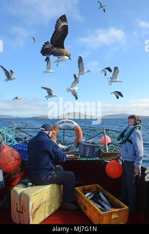 Junge fischen mit seinem Opa in einem Meer boot Makrelenfangs der Küste der Shetlandinseln Stockfoto