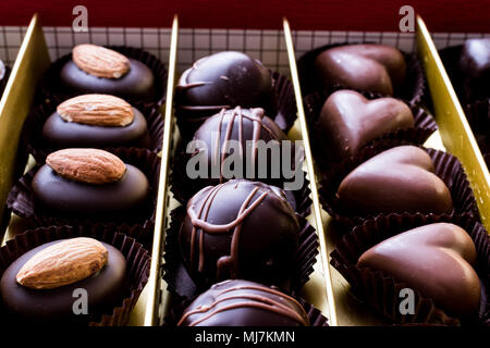Eine Auswahl an Pralinen in Feld (Auswahl) Stockfoto