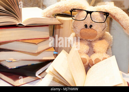 Spielzeug soft Hase mit Brille sitzt unter einem Stapel Bücher. Stockfoto