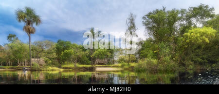 Venezuela, Fluss Orinoco, 2014 Stockfoto