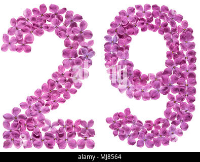 Arabische Zahlen 29, 29, von Blumen Flieder, auf weißem Hintergrund Stockfoto
