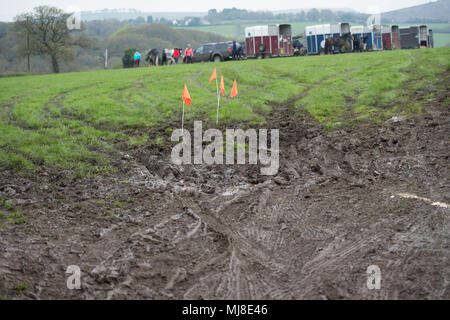 Pferdeboxen in schlammigen Feld Stockfoto