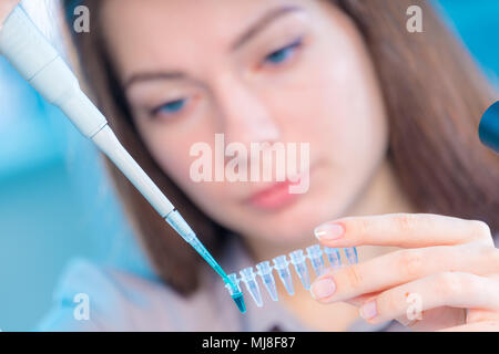 Technikerin mit Pipette in Kop für DNA die gerichtliche Prüfung Stockfoto