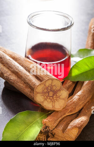 Von Ayahuasca in Glas mit banisteriopsis caapi Holz und psychotria verlässt. Traditionelle pflanzliche Arzneimittel. Stockfoto