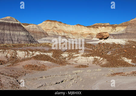 Badlands Landschaft mit Baumstämmen in Petrified Forest National Park, USA Stockfoto